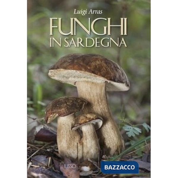 Funghi in Sardegna