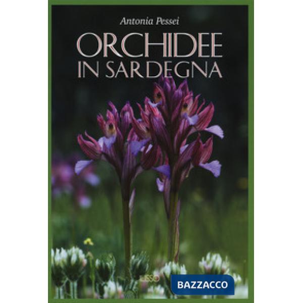 Orchidee in Sardegna. Ediz. a colori