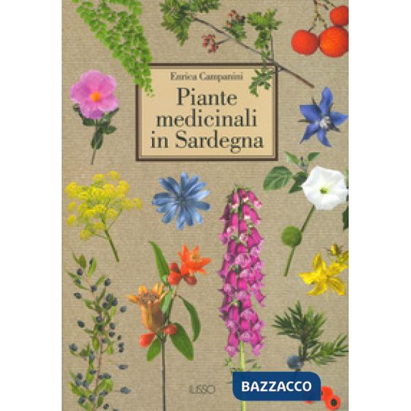 Piante medicinali in Sardegna. Ediz. a colori