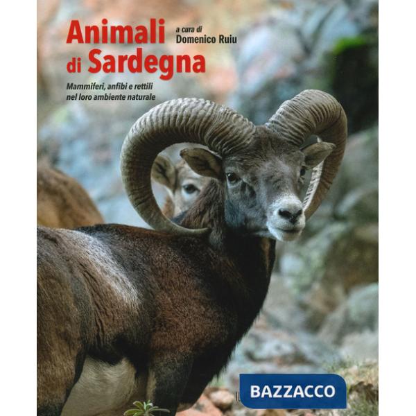 Animali di Sardegna. Mammiferi, anfibi e rettili nel loro ambiente naturale. Ediz. a colori