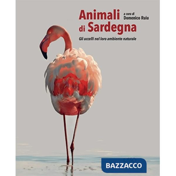 Animali di Sardegna. Gli uccelli nel loro ambiente naturale