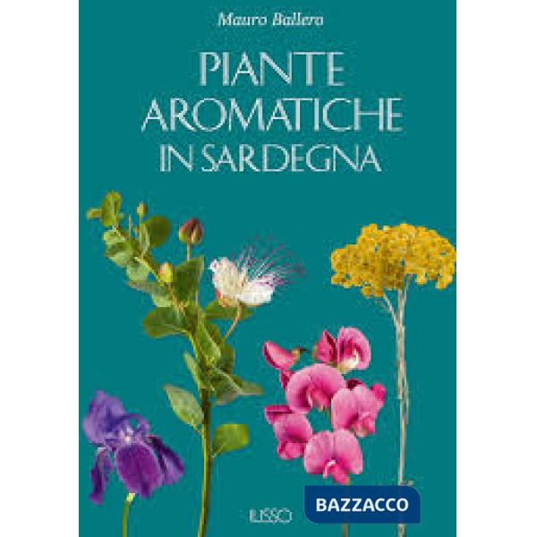 Piante aromatiche in Sardegna