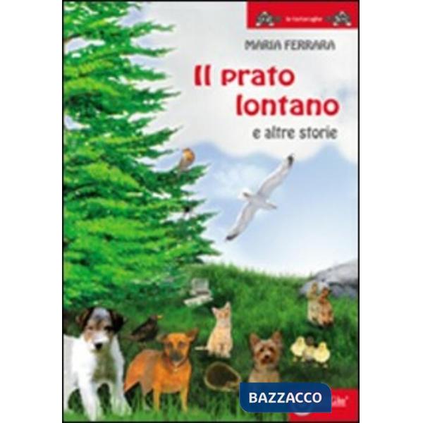 Prato lontano e altre storie (Il)