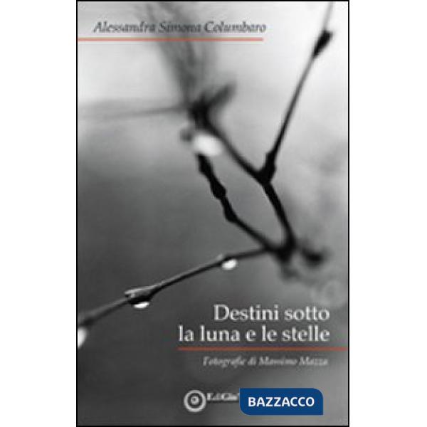 Destini sotto la luna e le stelle