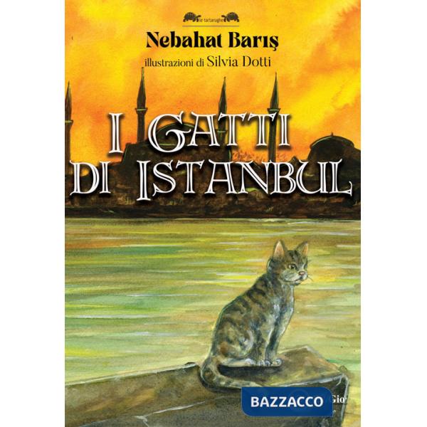 Gatti di Istanbul (I)