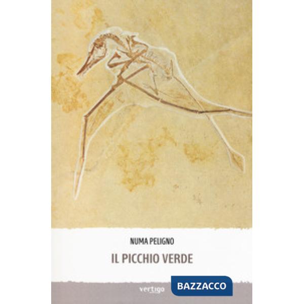 Picchio verde (Il)