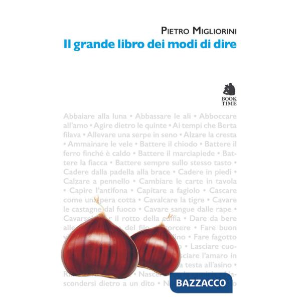 Grande libro dei modi di dire (Il)