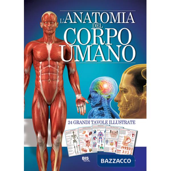 Anatomia del corpo umano (L')