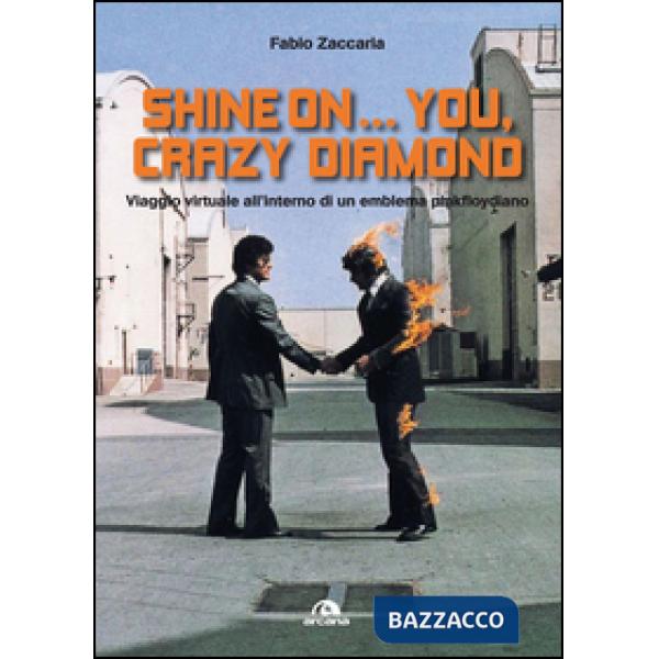 Shine on... you, crazy diamond. Viaggio virtuale all'interno di un emblema pinkfloydiano