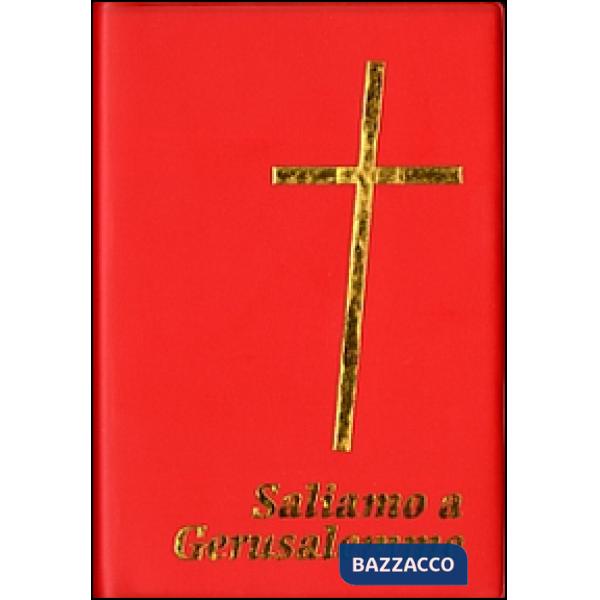 Saliamo a Gerusalemme. Con cartina