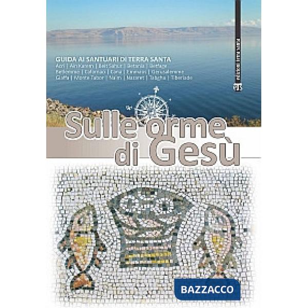 Sulle orme di Gesù. Guida ai santuari di Terra Santa. Ediz. ampliata