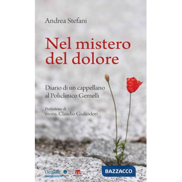 Nel mistero del dolore. Diario di un cappellano al Policlinico Gemelli