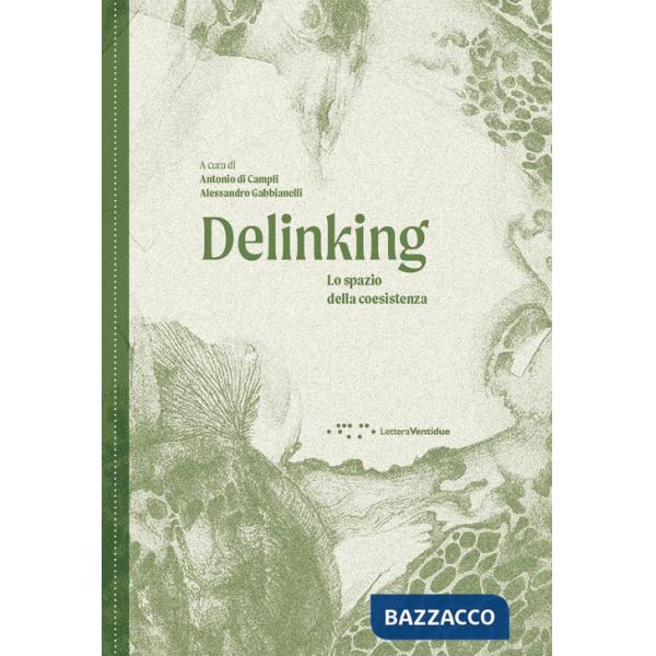 Delinking. Lo spazio della coesistenza. Ediz. illustrata