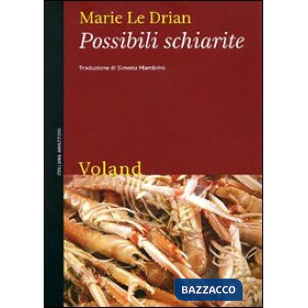 Possibili schiarite