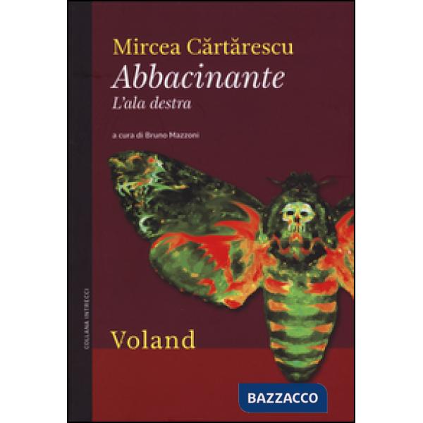 Abbacinante. L'ala destra