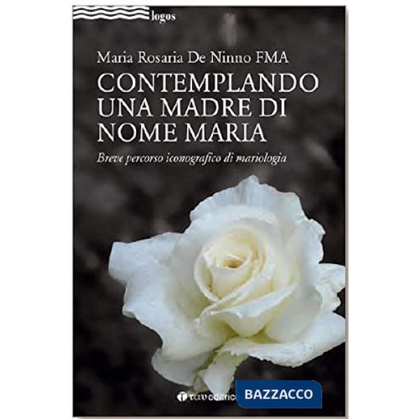 Contemplando una madre di nome Maria. Breve percorso iconografico di mariologia