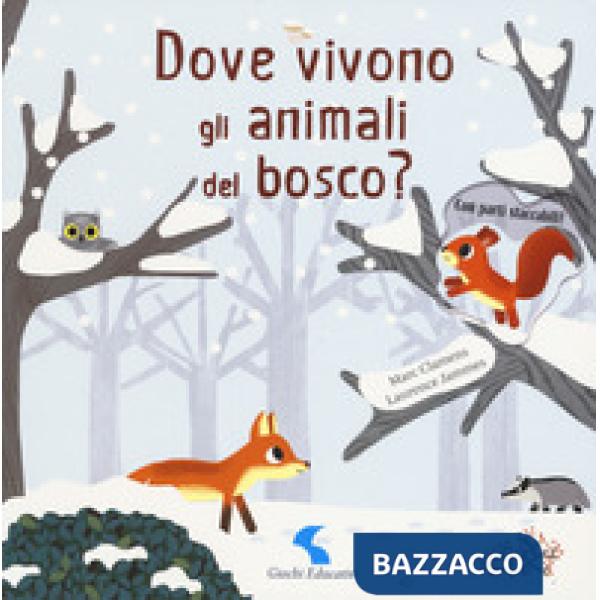 Dove vivono gli animali del bosco? Ediz. a colori