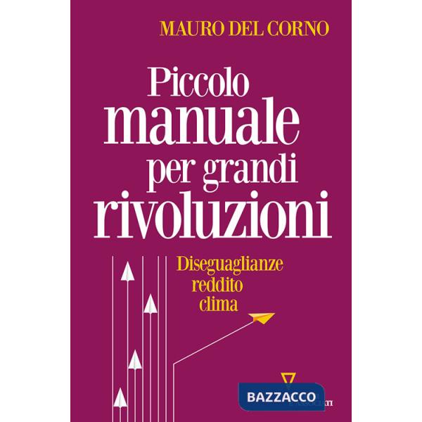 Piccolo manuale per grandi rivoluzioni. Diseguaglianze, reddito, clima