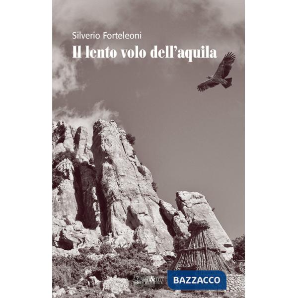 Lento volo dell'aquila (Il)