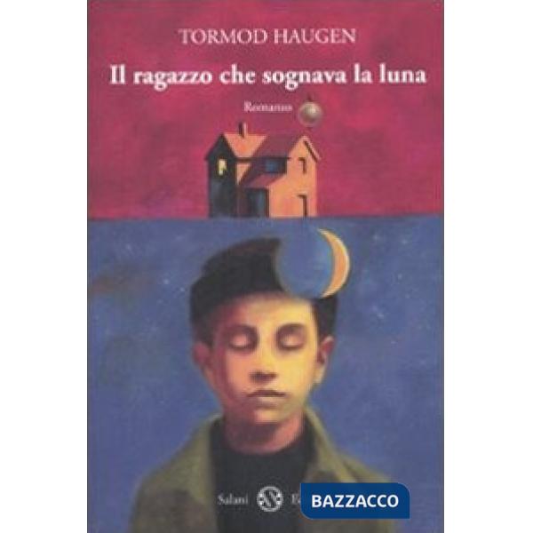 Ragazzo che sognava la luna (Il)
