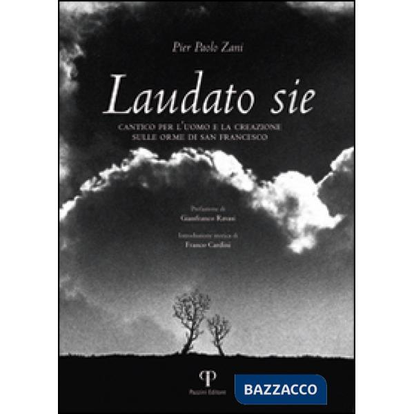 Laudato sie. Cantico per l'uomo e la creazione sulle orme di san Francesco. Ediz. illustrata