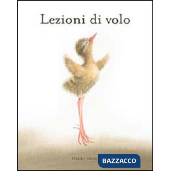 Lezioni di volo. Ediz. illustrata