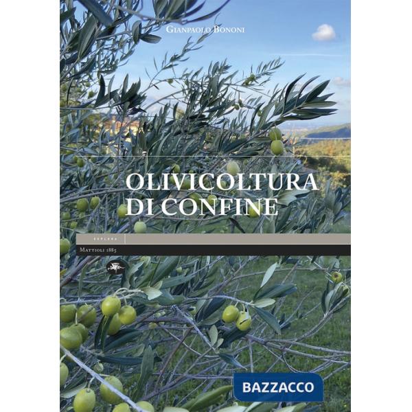 Olivicoltura di confine