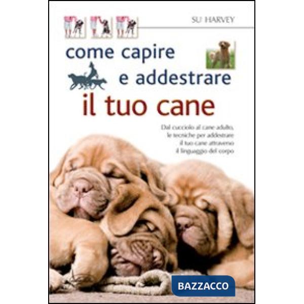 Come capire e addestrare il tuo cane