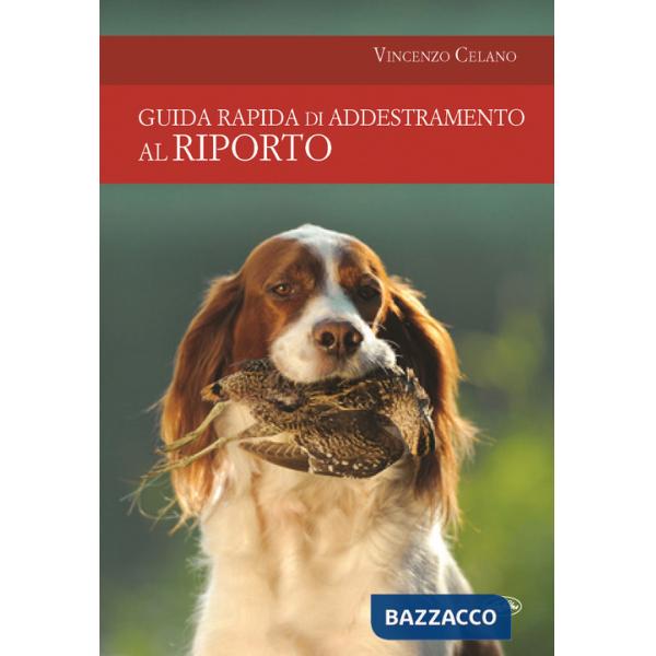 Guida rapida di addestramento al riporto