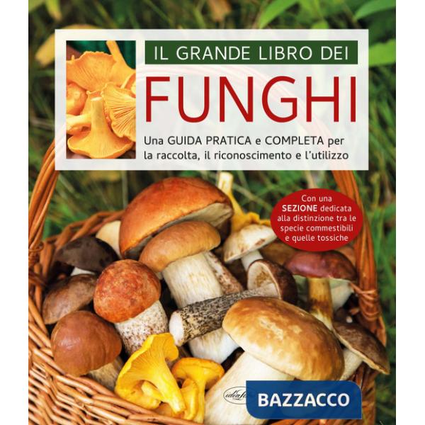 Grande libro dei funghi (Il)