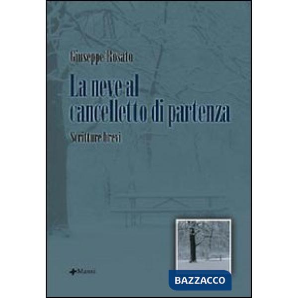 Neve al cancelletto di partenza (La)