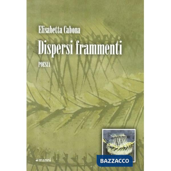 Dispersi frammenti