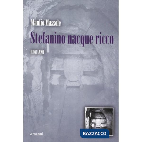 Stefanino nacque ricco