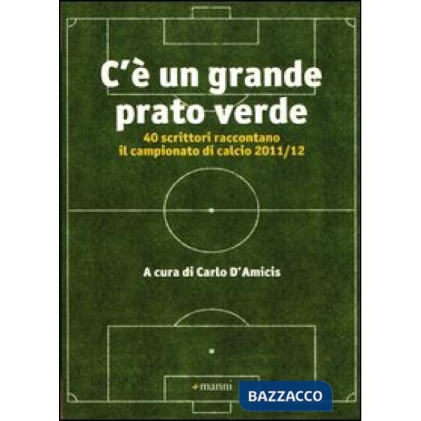 C'è un grande prato verde. 40 scrittori raccontano il campionato di calcio 2011/12