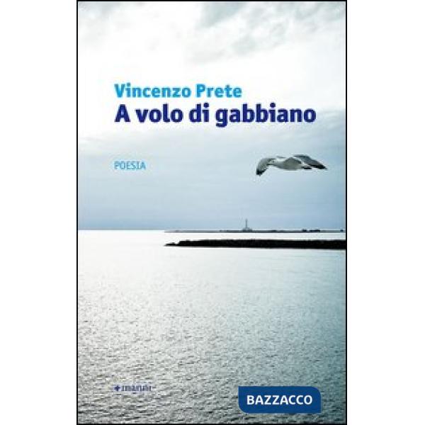 A volo di gabbiano