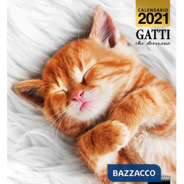 Gatti che dormono. Calendario 2021