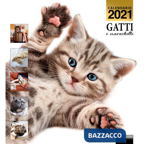 Gatti e marachelle. Calendario 2021