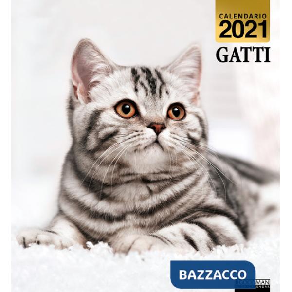 Gatti. Calendario 2021