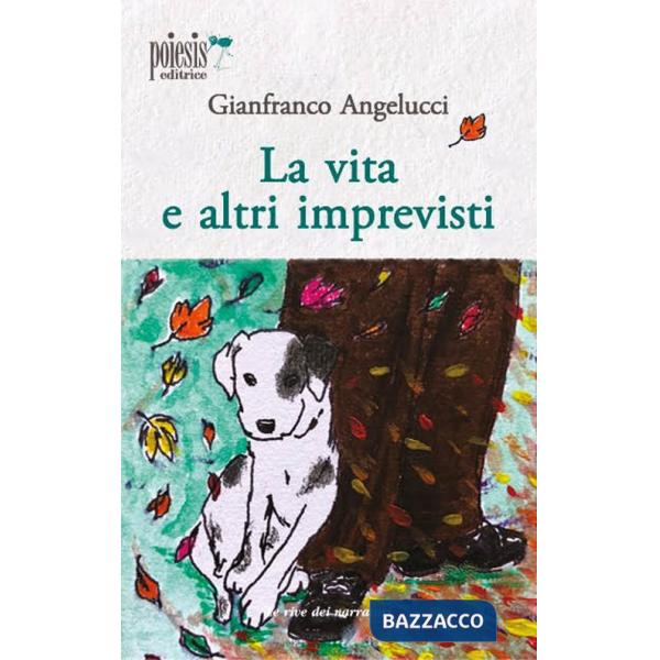 Vita e altri imprevisti (La)