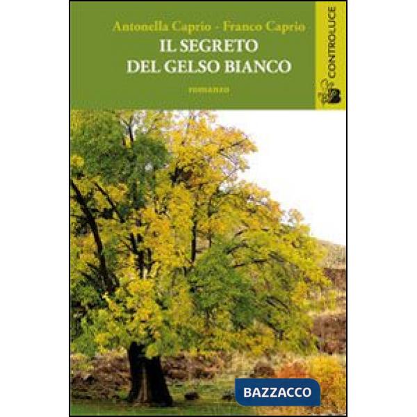 Segreto del gelso bianco (Il)