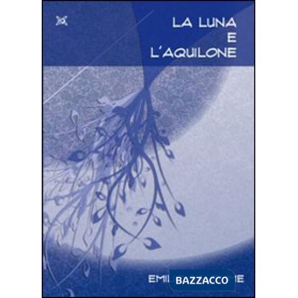 Luna e l'aquilone (La)