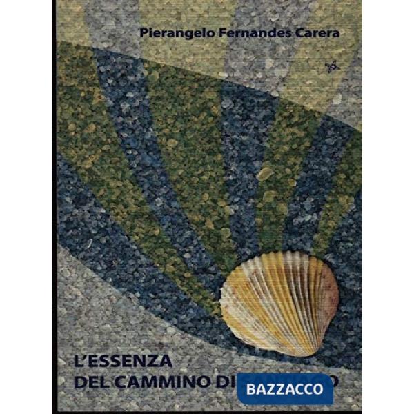 Essenza del cammino di Santiago (L')