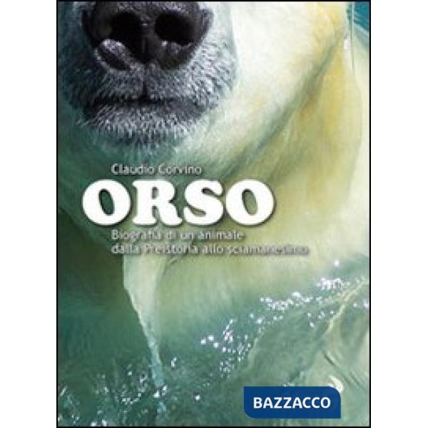 Orso. Biografia di un animale dalla preistoria allo sciamanesimo