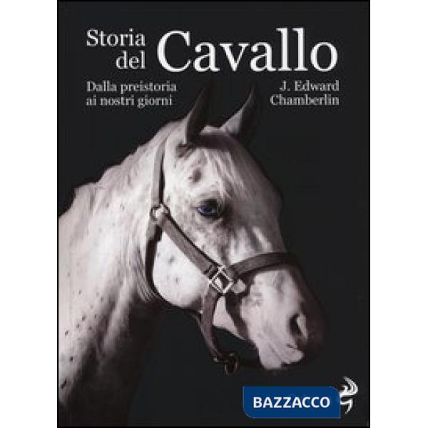 Storia del cavallo. Dalla preistoria ai nostri giorni