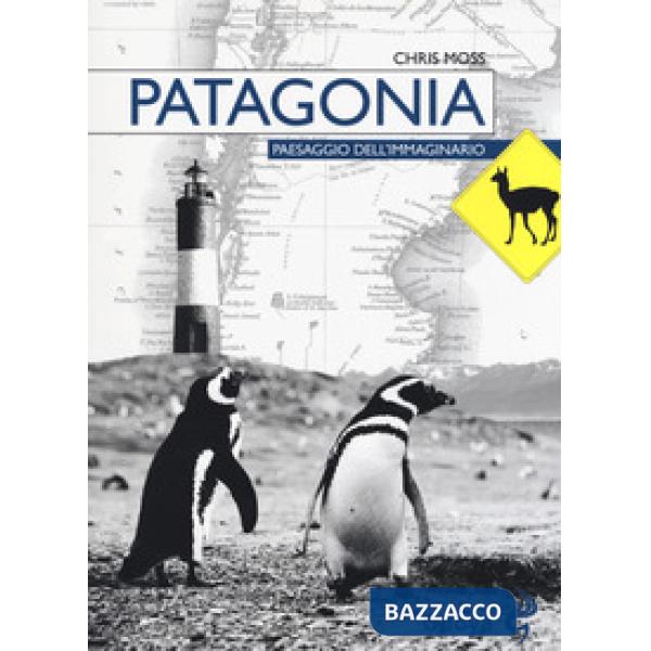 Patagonia. Paesaggio dell'immaginario