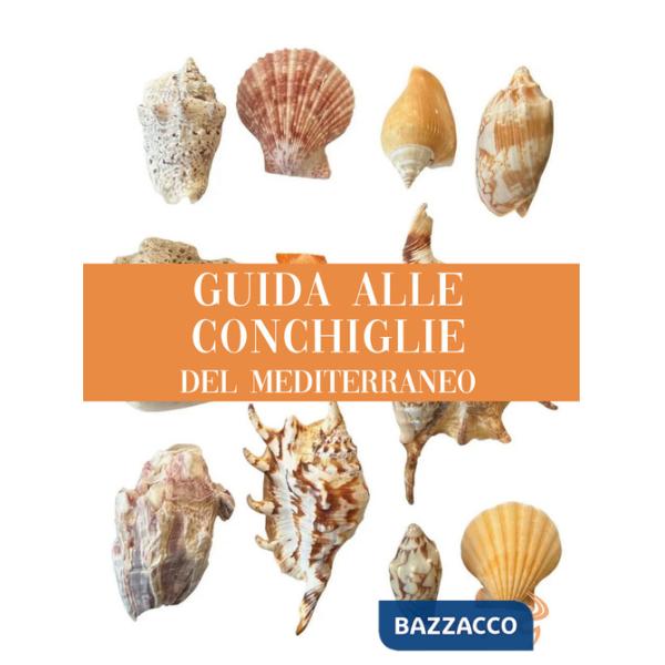 Guida alle conchiglie del Mediterraneo