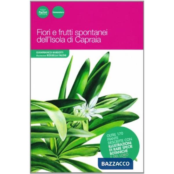 Fiori e frutti spontanei dell'isola di Capraia