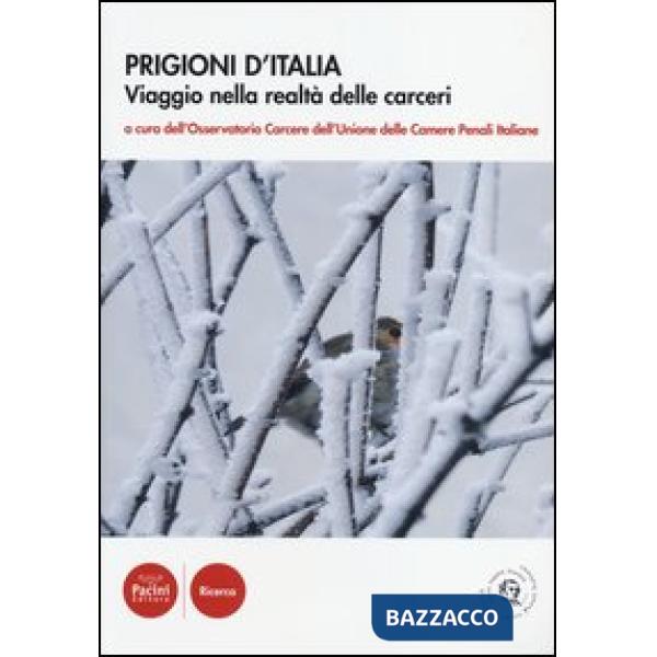 Prigioni d'Italia. Viaggio nella realtà delle carceri