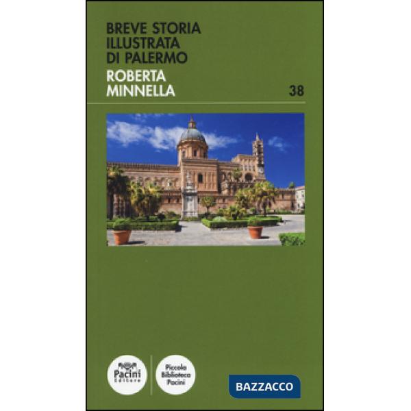 Breve storia illustrata di Palermo. Ediz. illustrata