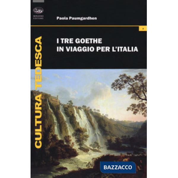 Tre Goethe in viaggio per l'Italia (I)